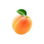 apricot